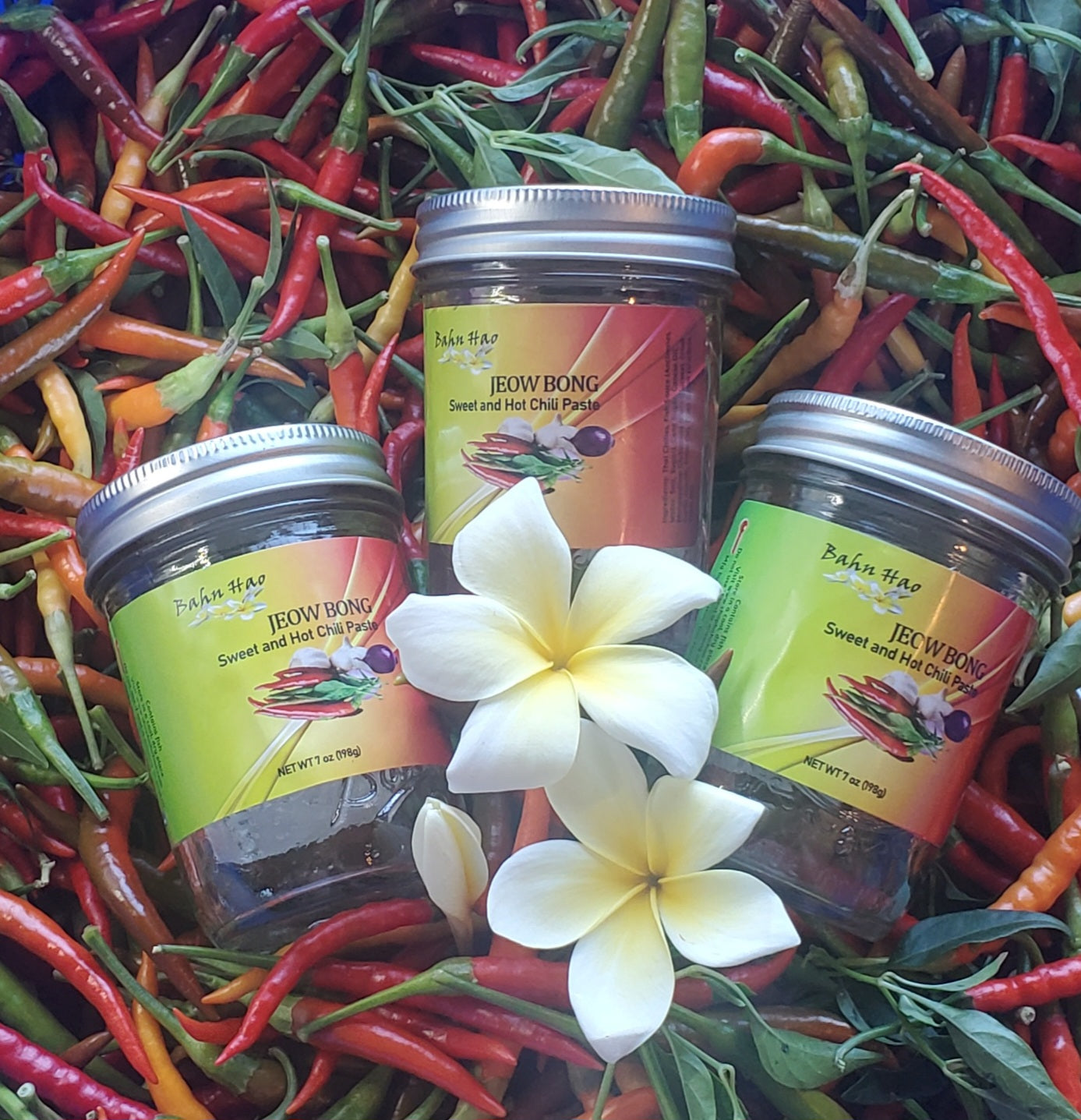 Haohao LLC website screenshot